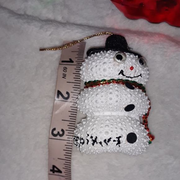 snowman made from 3 sea urchins has an adorable stubby spike body & googly eyes - Picture 3 of 7